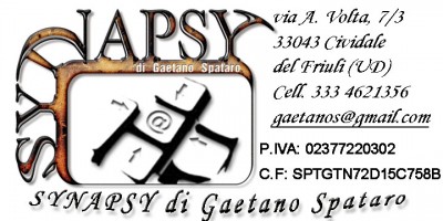 Synapsy on the web